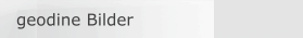 geodine Bilder